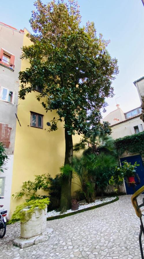 كيودجا B&B La Corte المظهر الخارجي الصورة